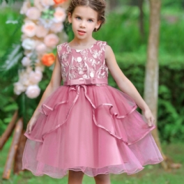Christmas Flickor Flower Plant Brodery Party Dress