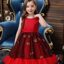 Flickor Elegant Ärmlös Prinsessklänning Kostym Med Jordgubbsbroderier För Julfest