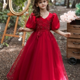 Flickor Elegant V-ringad Puffärmar Broderade Princess Dress Christmas Formella Klänningar