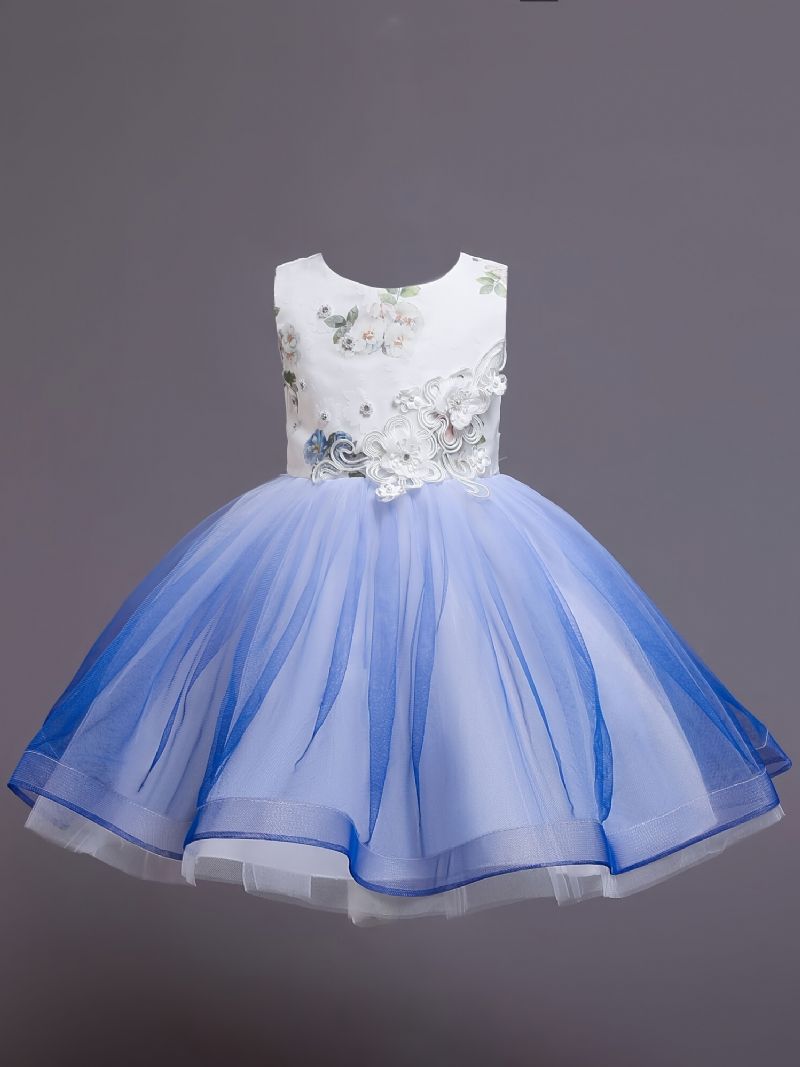 Flickor Prinsessa Klänning Ärmlösa Blommor Broderi Mesh Tutu Prestanda Bröllop Blomster Till Afton Födelsedagsfest Barnkläder