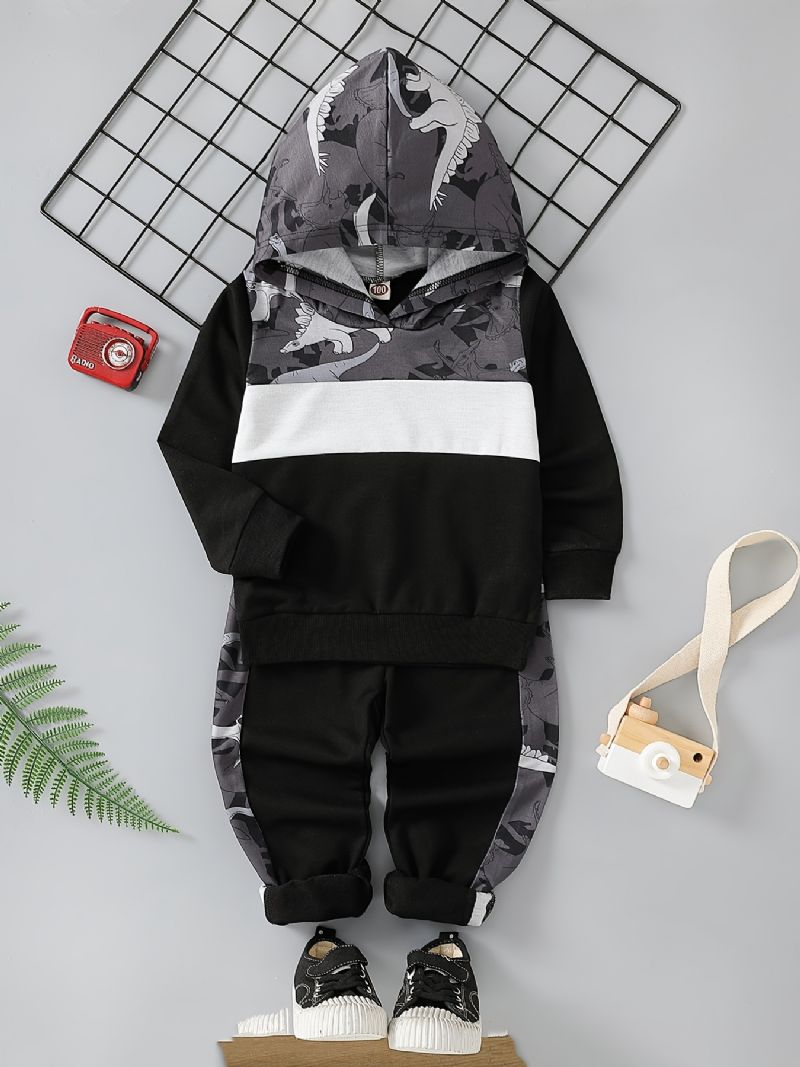 2st Bebis Pojkar Hoodie Dinosaur Print Långärmad Sweatshirt Topp & Byxa Set Barnkläder