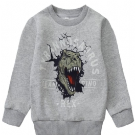 Barn Pojkar Pullover Sweatshirt Med Dinosauriemönster Barnkläder