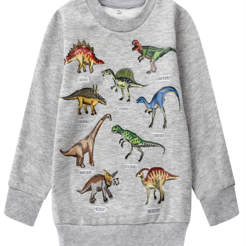 Pojkar Dinosaur Print Långärmad Rundhalsad Tröja