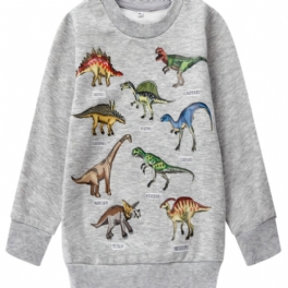 Pojkar Dinosaur Print Långärmad Rundhalsad Tröja