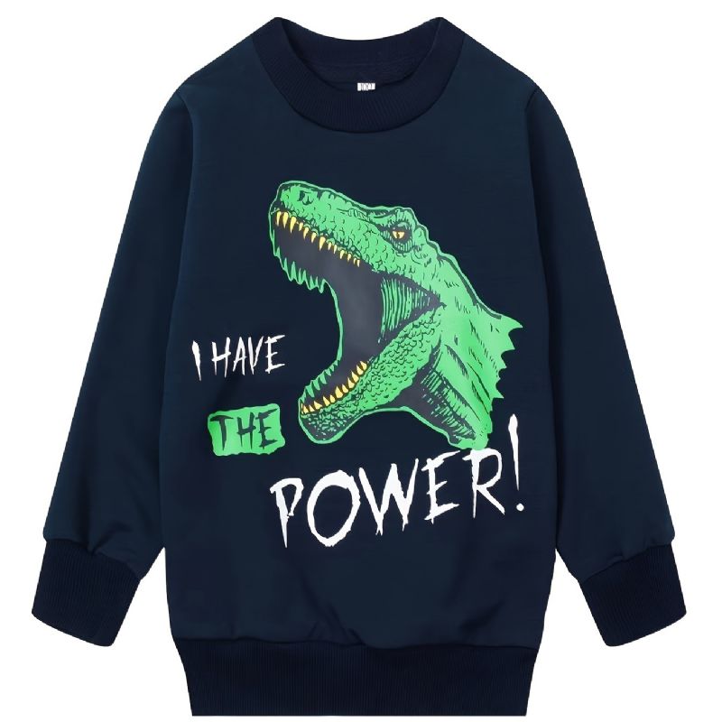 Pojkar I Have The Power Dinosaur Långärmad Tröja Med Rund Hals