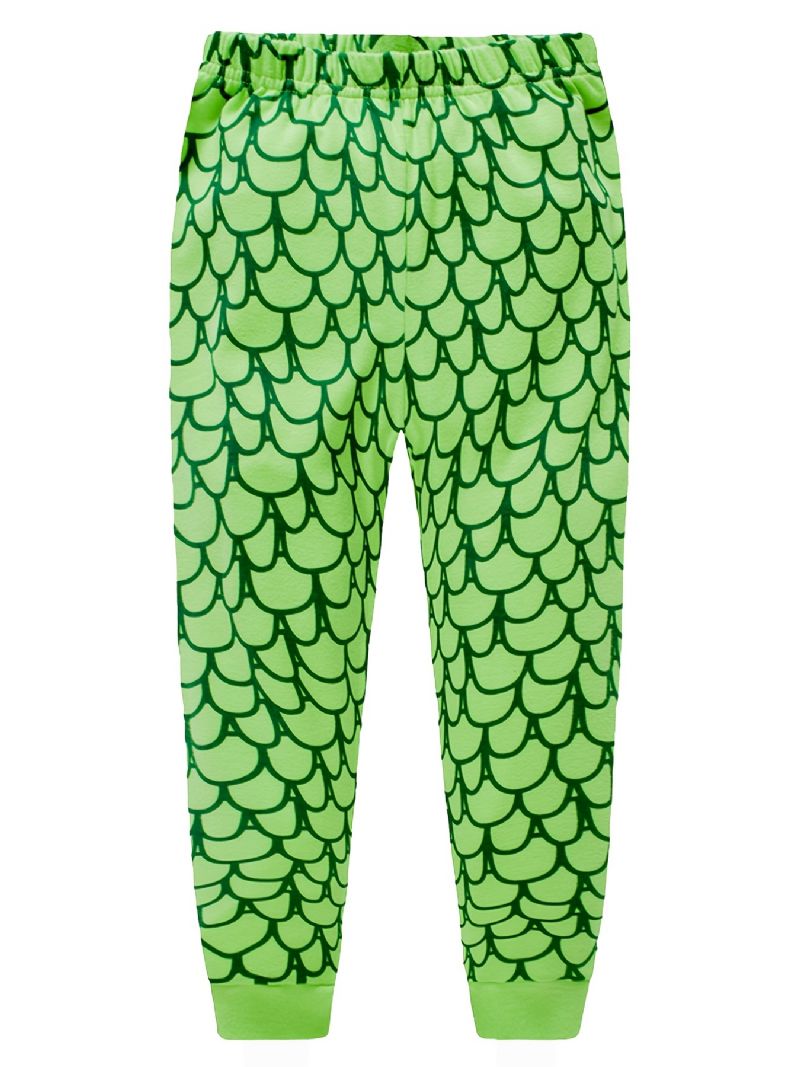 2st Pojkar Tecknad Dinosaur Print Pyjamas Set Söt Casual Termisk Rund Hals Långärmade Toppar Och Byxor För Vintern