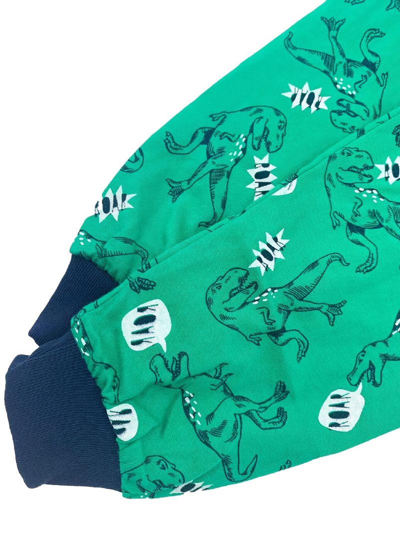 Pojkar Dinosaur Print Långärmad Pyjamas Set För Vintern