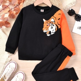Bebis Pojkar Pullover Tiger Print Crew Neck Långärmad Sweatshirt & Color Block Byxa Set Barnkläder