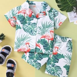 Pojkar Casual Flamingo Print Shorts Set