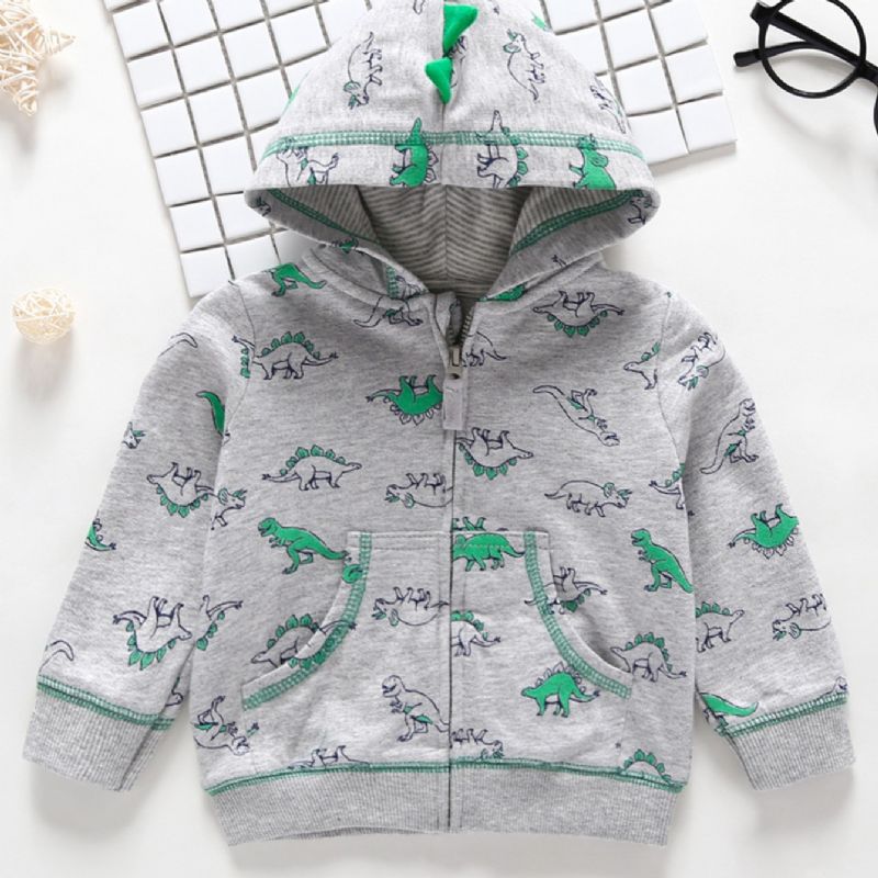 Pojkar Dinosaur Print Pocket Hood Sweatshirt