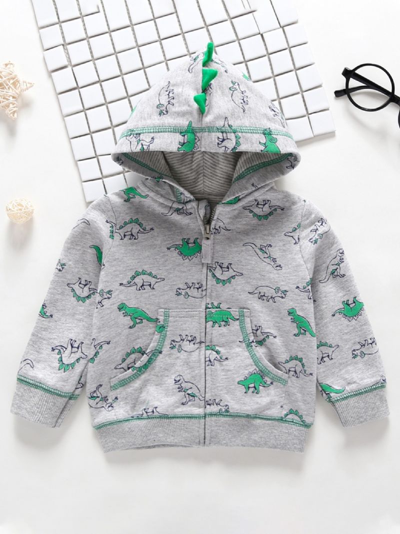 Pojkar Dinosaur Print Pocket Hood Sweatshirt