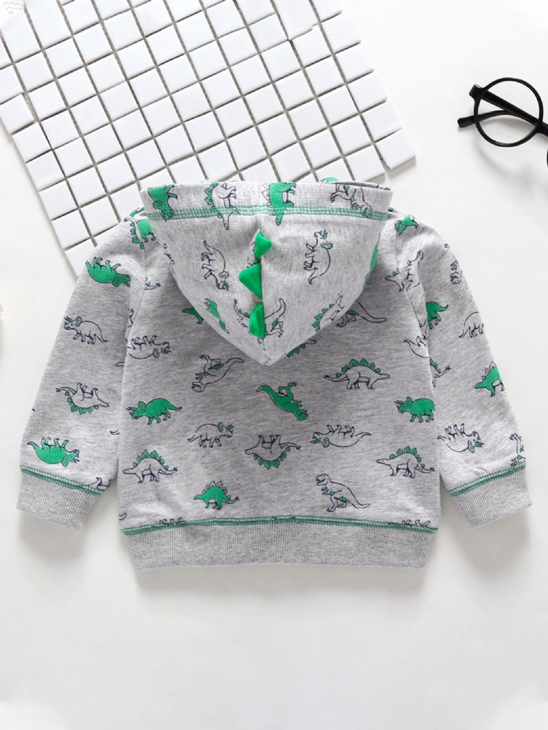 Pojkar Dinosaur Print Pocket Hood Sweatshirt