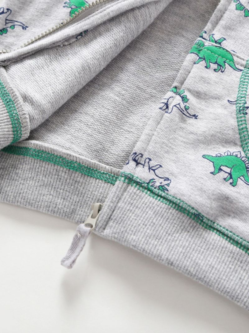 Pojkar Dinosaur Print Pocket Hood Sweatshirt