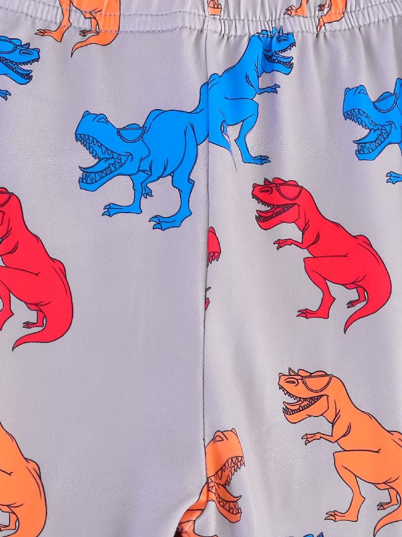 Pojkar Pyjamas Familjeoutfit Dinosaurietryck Rundhalsad Långärmad Topp & Byxuppsättning Barnkläder