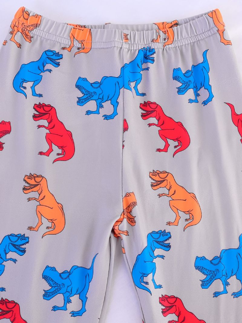 Pojkar Pyjamas Familjeoutfit Dinosaurietryck Rundhalsad Långärmad Topp & Byxuppsättning Barnkläder